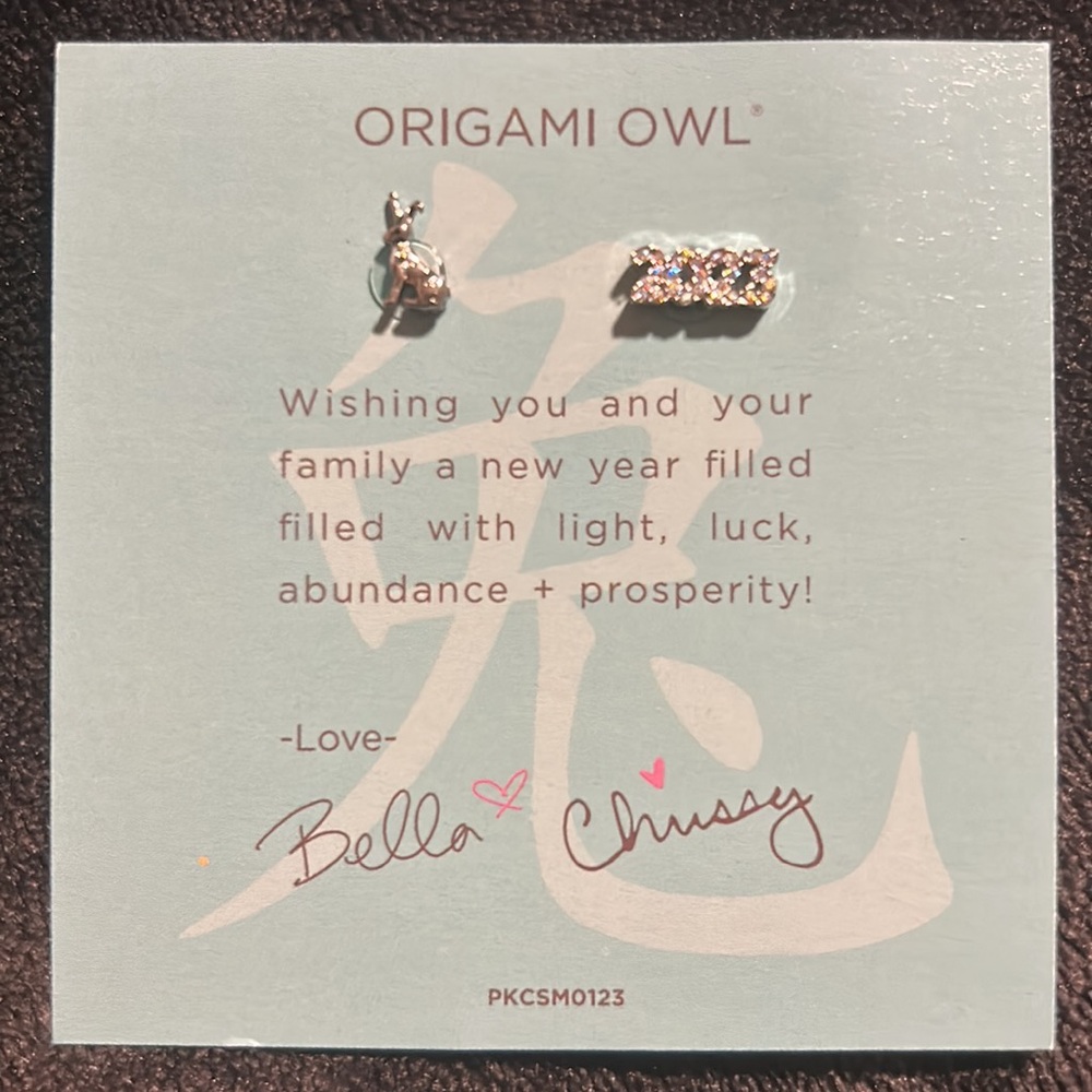 Origami Owl Charm of the Month January 2023 Charms